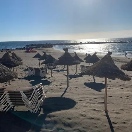 Orlando Tenerife * أذيخي